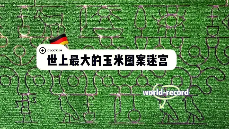 世上最大的玉米迷宫