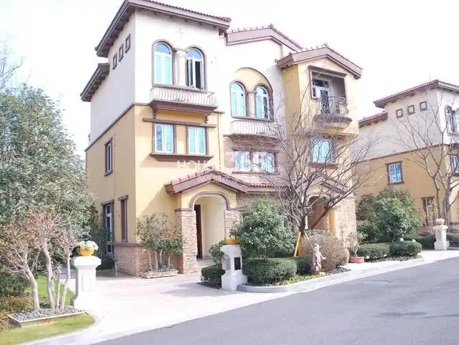 碧桂园欧洲城独栋别墅实景图(2.13)