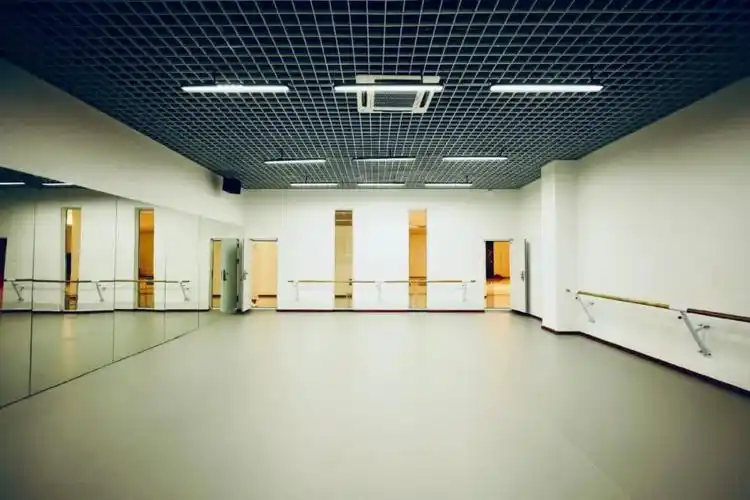 成都市翔云大河艺术学校简介