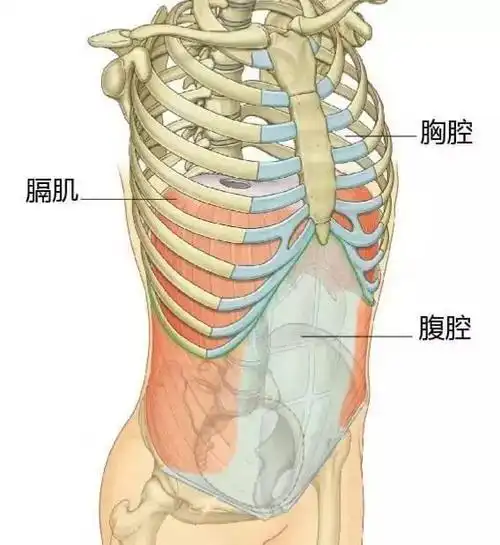 胸部下面的大包究竟是什么看过这篇你就知道了