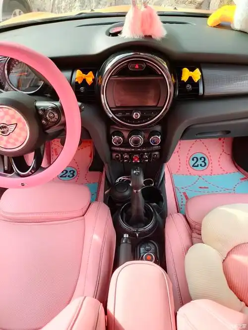 超可爱的mini内饰展示