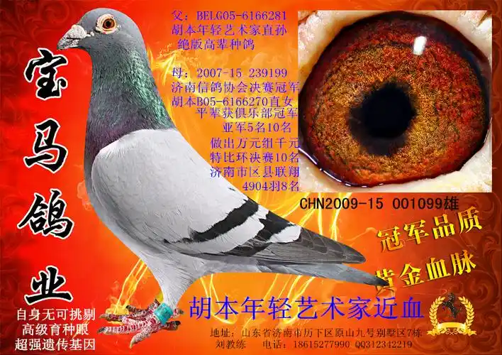 胡本年轻艺术家近血 保证金级 拍卖