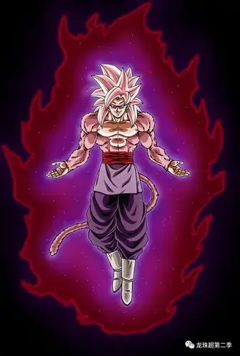 龙珠图集:黑悟空专辑,最霸气的赛亚人