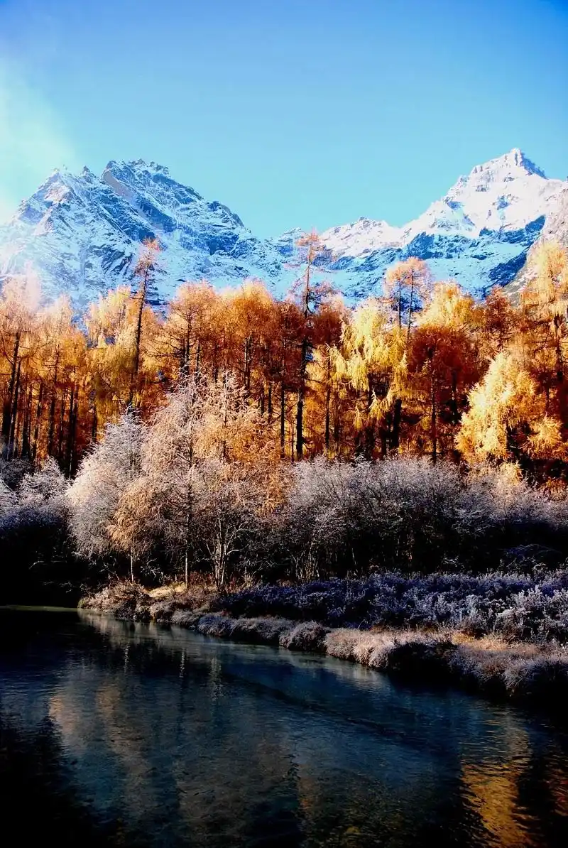阿坝州-四姑娘山长坪沟