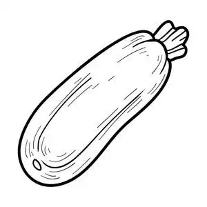 葫芦图形着色书:水果和蔬菜(西葫芦)照片