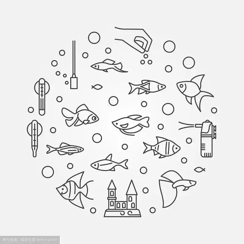 鱼缸概念圆形轮廓