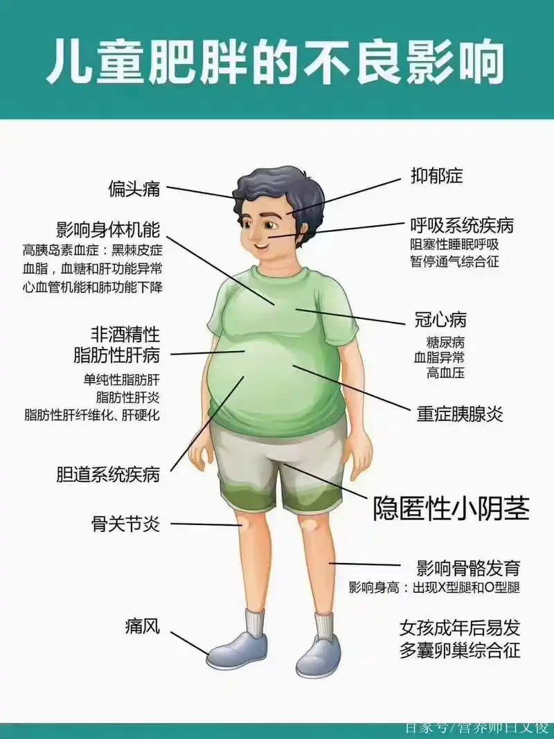 警惕:儿童青少年肥胖率已达20%,对孩子健康的危害更甚于成年人