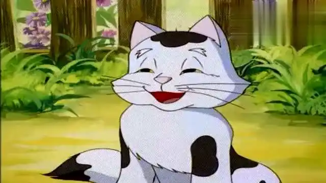 《小贝流浪记》两只猫咪,满满的回忆,无忧无虑的年纪