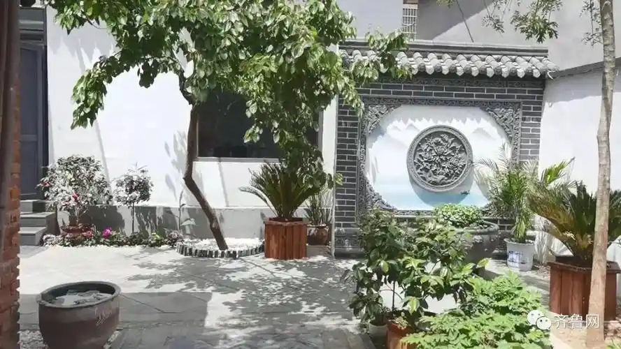 山东小伙10个月爆改农村小院全国网友都羡慕了