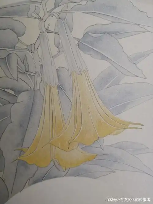 工笔花鸟画系列之——曼陀罗写生与着色步骤