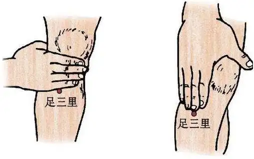 足三里