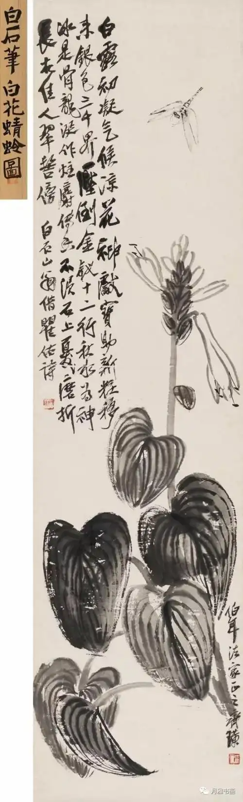 白石老人那些富含哲理的话高清作品130幅