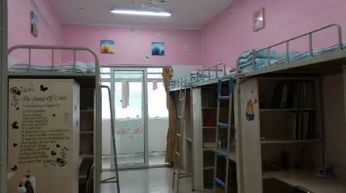 以梦为马 抱梦而眠——入学体验(六) - 合肥八中