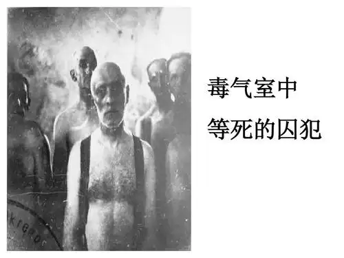 高中语文 奥斯维辛没有什么新闻课件 新人教版必修1ppt