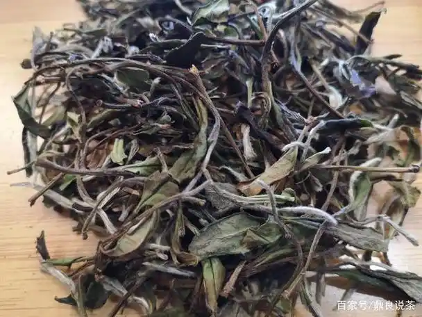 如何识别白茶中的野生茶