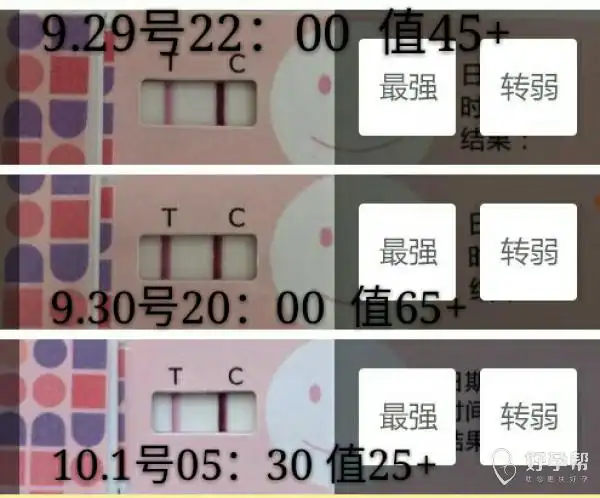 【实战经验总结】你们了解半定量么?