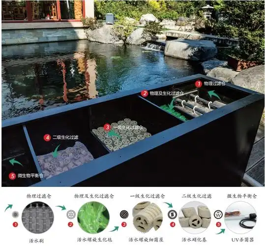 来自一位从事7年鱼池过滤的朋友分享锦鲤鱼池过滤设备应该怎么选择?