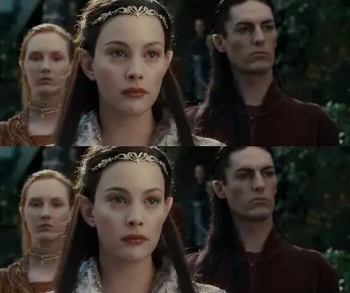 指环王 丽芙泰勒