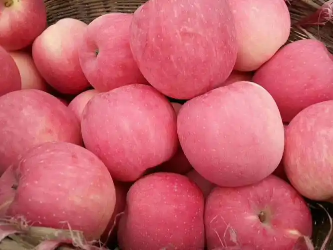 红富士苹果果型端正颜色靓丽全红条纹红富士苹果精品