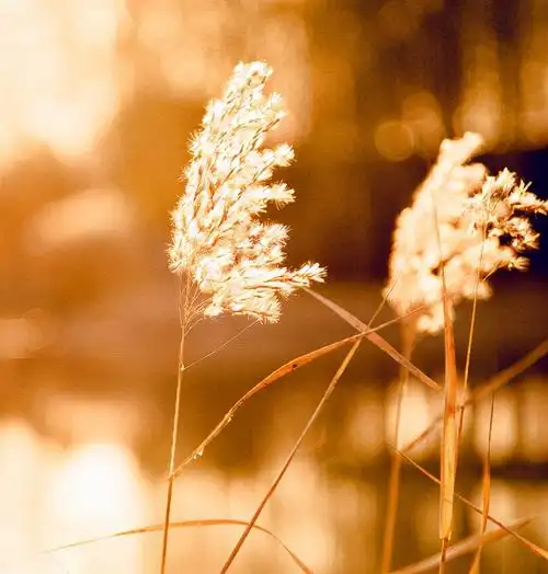 走过的路,遇见的人,十首怀旧的诗词,怀念曾经的美好时光