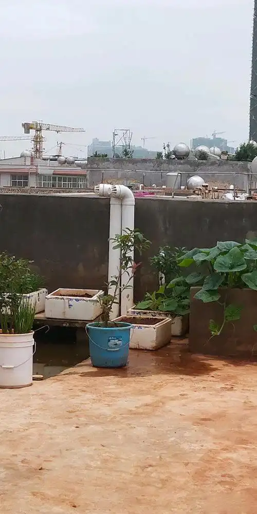 小区楼顶排气管t型的要比90度的设计科学排气效果好不倒灌