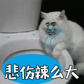 猫gif悲伤辣么大gif搞怪gif可爱gif