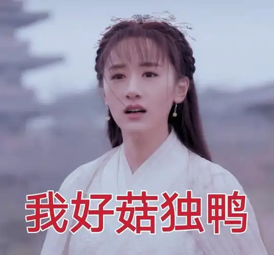 袁冰妍表情包图片