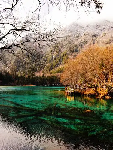 我只是大自然美的复制者