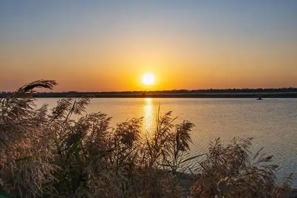 在儿子家养老儿媳妇请我吃饭要八个菜明白用意后我直淌汗