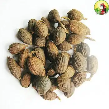 碧元珠云南草果250克500克卤肉料包干调料火锅炒菜大料香料调料火锅料