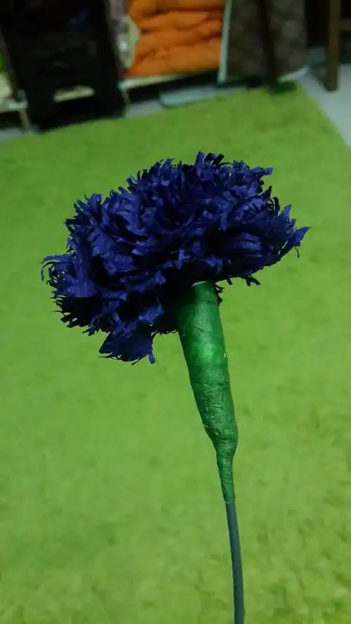 皱纹纸做的康乃馨,想学的可以加我微博 肥胖小厨娘 哦,大家互相交流