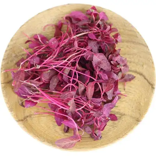 新鲜火红苗1盒斯卡纳苗西餐摆盘装饰 可食用苗菜