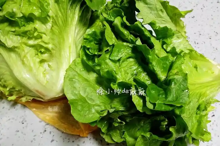 减肥_蚝油生菜_维生素