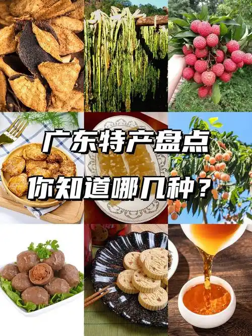 广东特产大盘点你看看全不全