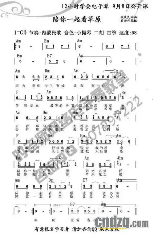 中国电子琴在线论坛