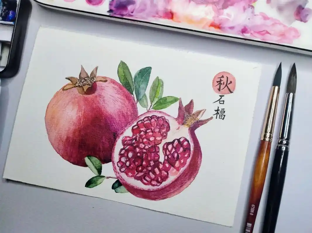水彩画分步骤教程石榴