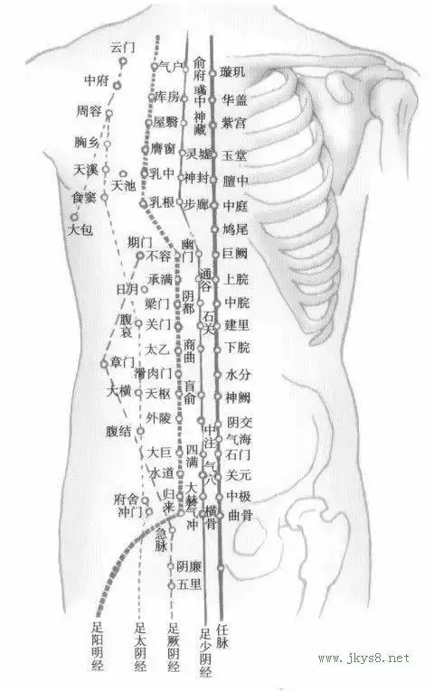 胸腹部经络穴位图示-人体穴位图