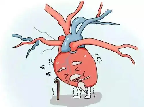5种信号提示心肌梗死发作10个时段需要格外警惕