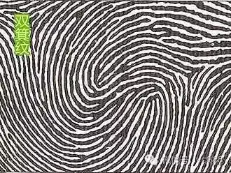 十个手指都是双箕型指纹的人,到目前为止还没有遇到过,它不像箕型或斗