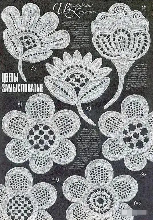 爱尔兰单元花图解 - 抖音