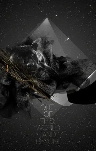 33款黑色调艺术海报(3)