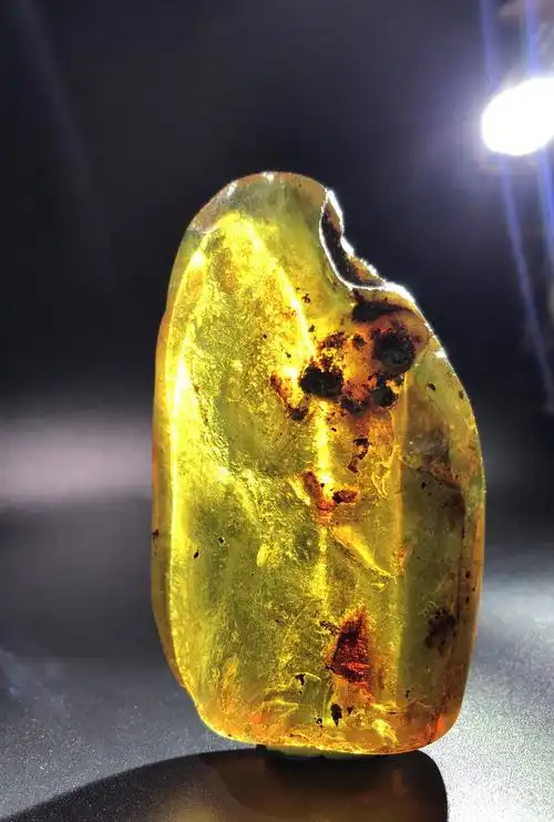 千万年留存下来的虫珀/植物珀/风景珀 记录千万年前生命的痕迹 - 快抱