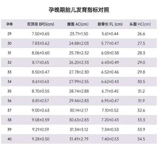 孕中晚期b超检查胎儿发育的正常值
