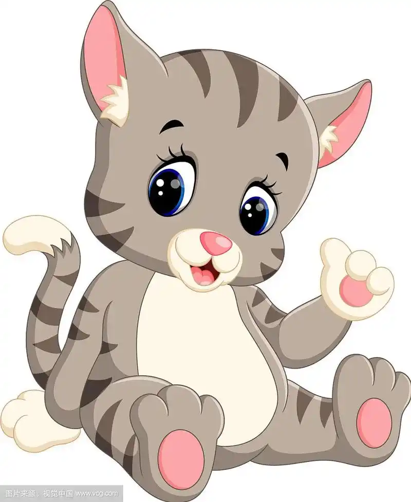 可爱的卡通猫