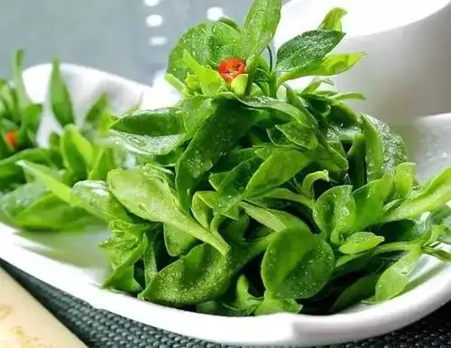 堪比人参的心血管疾病特效菜