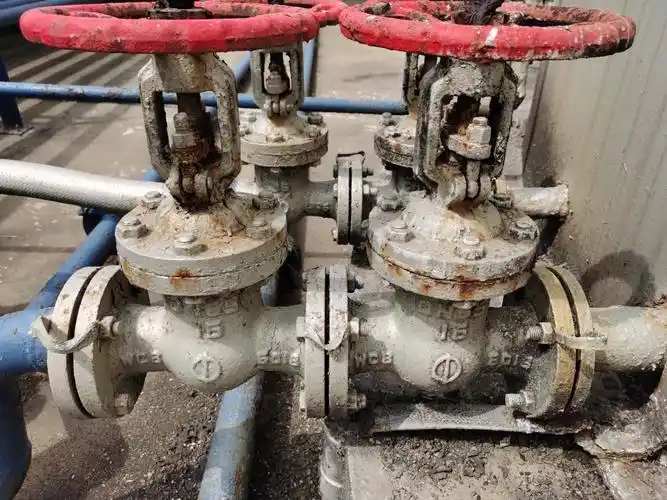 不锈钢法兰式截止阀安装维护