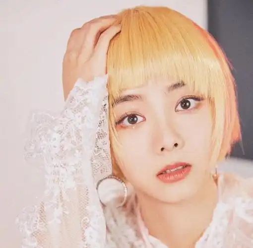 水滴鼻子图片(什么样的鼻子才算漂亮) - 赤虎壹号