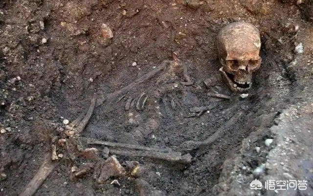 因为人在青春期以前,骨骼的差异并不是很大,所以白骨化骨骼的鉴定原则