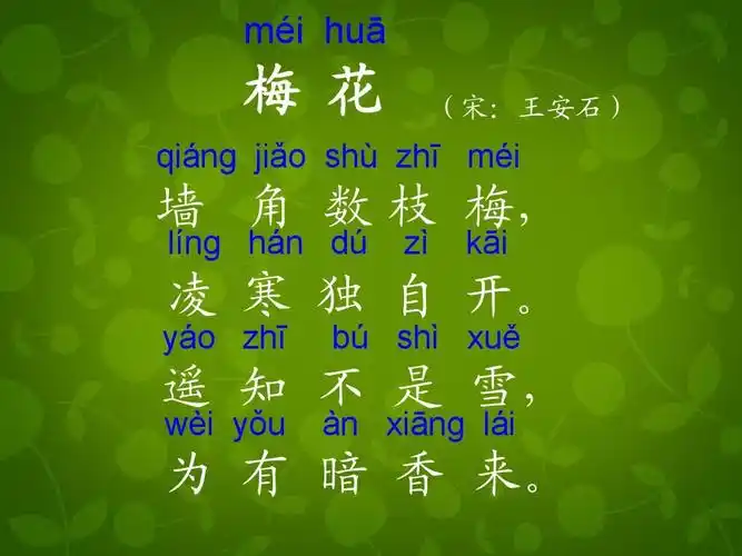 二年级语文上册 古诗二首(二) 梅花 1课件 北京版ppt