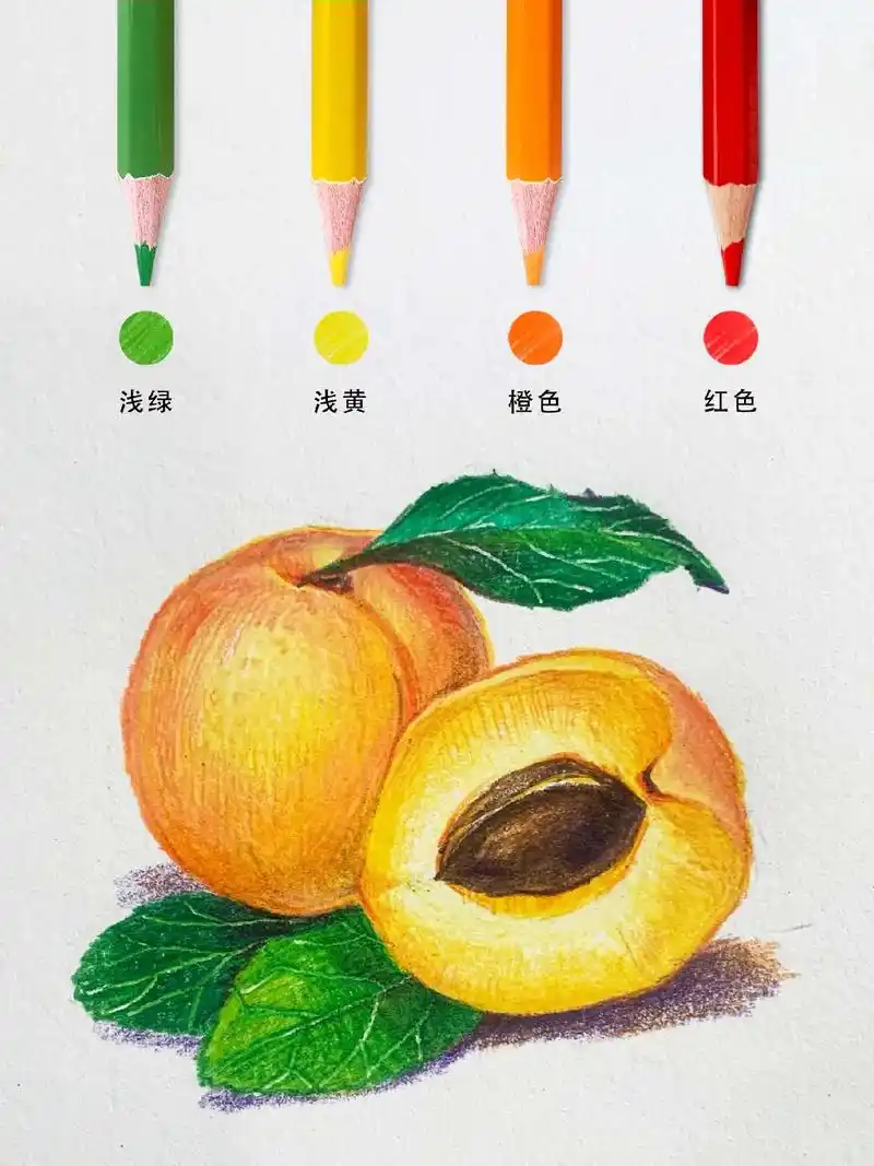 爱生活爱设计 #杏#一起学画画 #彩色铅笔 - 抖音